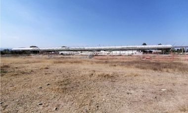 Rancho En Acatlán, Hidalgo (producción Ganadera Y de Queso).