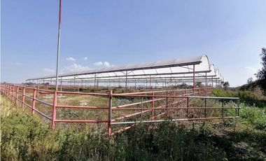 Rancho En Acatlán, Hidalgo (producción Ganadera Y de Queso).