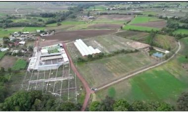 Rancho En Acatlán, Hidalgo (producción Ganadera Y de Queso).