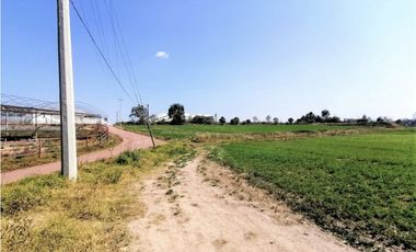 Rancho En Acatlán, Hidalgo (producción Ganadera Y de Queso).