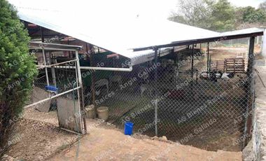 CASA  EN TULANCINGO