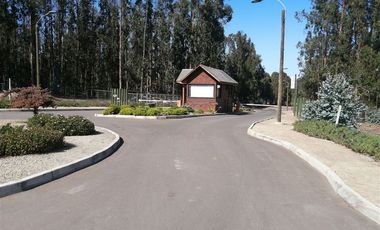 Sitio venta Costa Quilén 1, Caleta Horcón