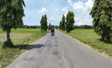 Tanah Dijual SHM Luasan Standart Dekat Puskesmas Ngombol