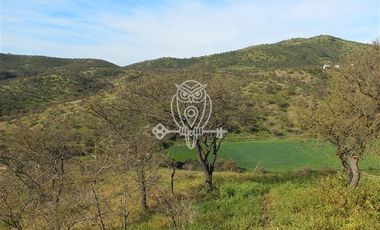 Parcela en venta en Melipilla