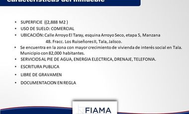 TERRENO EN VENTA EN TALA,JALISCO (VER. DISP) (FA)