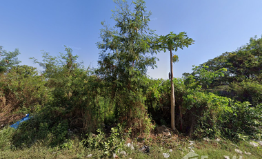 Land for sale in Koeng, Maha Sarakham