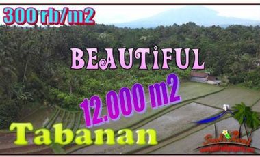 Tabanan Bali 120 Are Lahan View Sawah dan Gunung