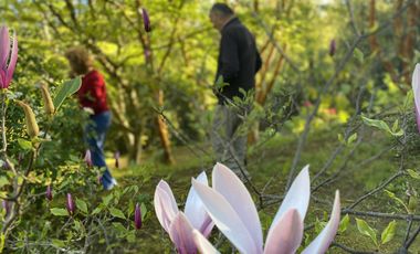 Terreno con borde rio y casa vista al lago