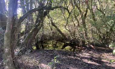 Terreno con borde rio y casa vista al lago