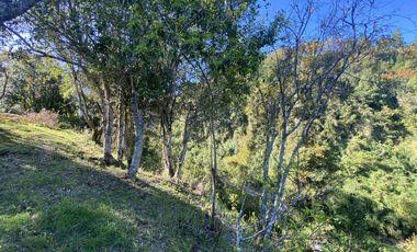 Terreno con borde rio y casa vista al lago
