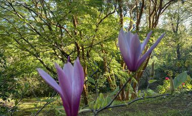 Terreno con borde rio y casa vista al lago