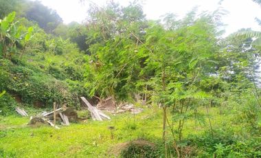 TANAH KEBUN X TERNAKAN AYAM@ BATUJAJAR COCOK BUAT PERUMAHAN