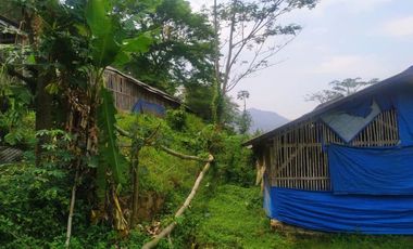 TANAH KEBUN X TERNAKAN AYAM@ BATUJAJAR COCOK BUAT PERUMAHAN