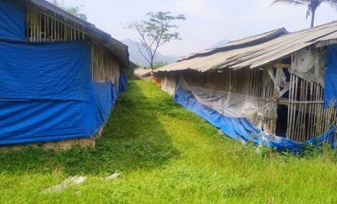 TANAH KEBUN X TERNAKAN AYAM@ BATUJAJAR COCOK BUAT PERUMAHAN