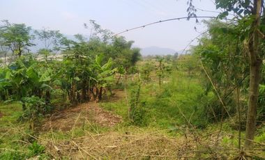 TANAH KEBUN X TERNAKAN AYAM@ BATUJAJAR COCOK BUAT PERUMAHAN