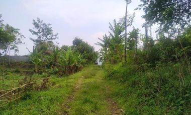 TANAH KEBUN X TERNAKAN AYAM@ BATUJAJAR COCOK BUAT PERUMAHAN