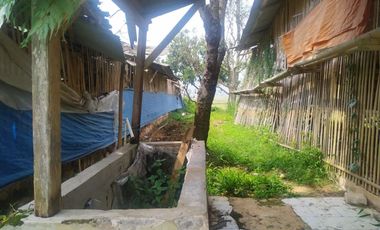 TANAH KEBUN X TERNAKAN AYAM@ BATUJAJAR COCOK BUAT PERUMAHAN