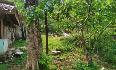 TANAH KEBUN X TERNAKAN AYAM@ BATUJAJAR COCOK BUAT PERUMAHAN