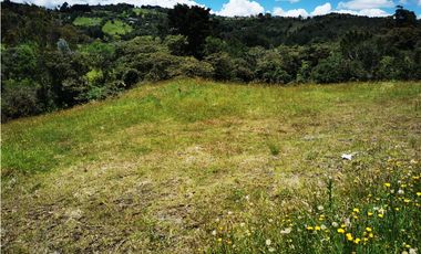 Venta Lote en el Alto de  las Palmas