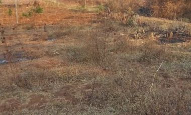 Cheap Land For Sale 20 Ha in Cicalengka Bandung