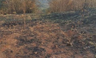 Cheap Land For Sale 20 Ha in Cicalengka Bandung