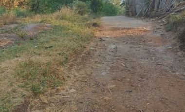 Cheap Land For Sale 20 Ha in Cicalengka Bandung