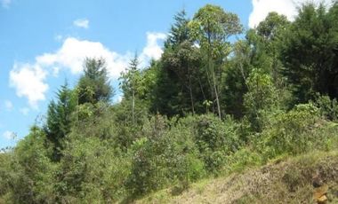 Lotes exclusivos ubicados en Las palmas, cerca a El Poblado