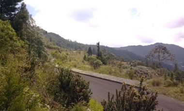 Lotes exclusivos ubicados en Las palmas, cerca a El Poblado