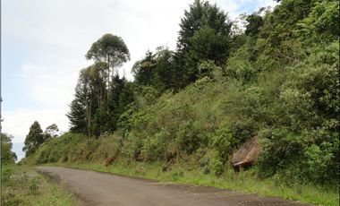 Lotes exclusivos ubicados en Las palmas, cerca a El Poblado