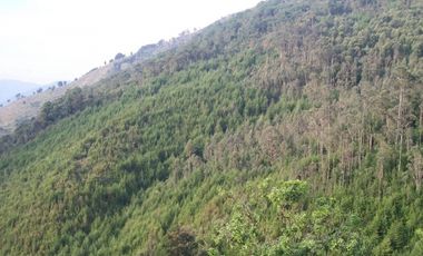 Lotes exclusivos ubicados en Las palmas, cerca a El Poblado