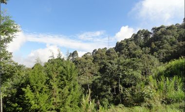 Lotes exclusivos ubicados en Las palmas, cerca a El Poblado