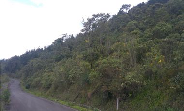 Lotes exclusivos ubicados en Las palmas, cerca a El Poblado