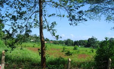 Lot for sale for residential in Puerto Princesa Palawan