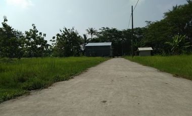 Dekat Balai Desa Rowosari Pemalang, Tanah Murah, Harga 1 Jt-an/m2