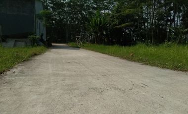 Dekat Balai Desa Rowosari Pemalang, Tanah Murah, Harga 1 Jt-an/m2
