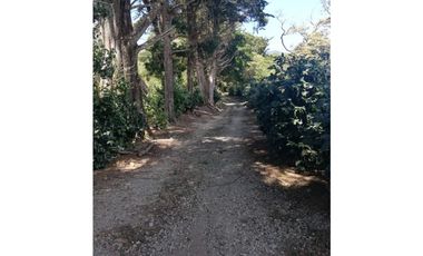 Se vende Finca de Cafe Boquete Chiriqui