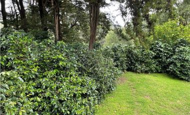 Se vende Finca de Cafe Boquete Chiriqui
