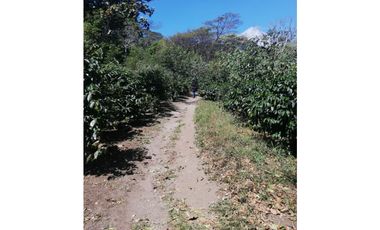 Se vende Finca de Cafe Boquete Chiriqui