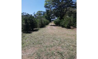 Se vende Finca de Cafe Boquete Chiriqui