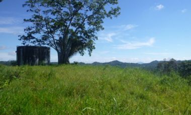 Venta de finca en La Chorrera GTA