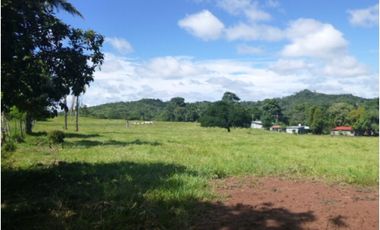 Venta de finca en La Chorrera GTA