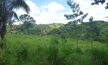 Venta de finca en La Chorrera GTA