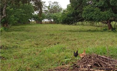 Venta de finca en La Chorrera GTA