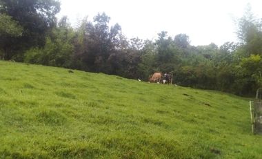 finca en venta en cartama. Cod V12592