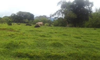 finca en venta en cartama. Cod V12592