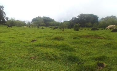 finca en venta en cartama. Cod V12592