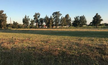Lotes y terrenos en venta en La Plata