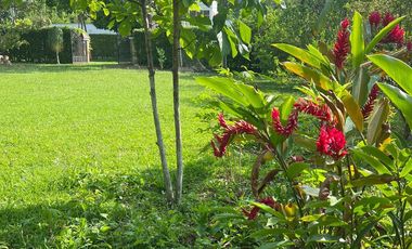 VENDO ESPECTACULAR LOTE - CONJUNTO CAMPESTRE. Cod V11466