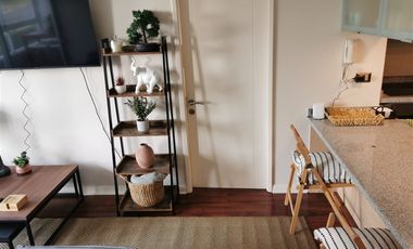 Depto amoblado 2 dorm con 2 Estacionamientos y Bodega