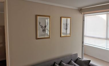 Depto amoblado 2 dorm con 2 Estacionamientos y Bodega